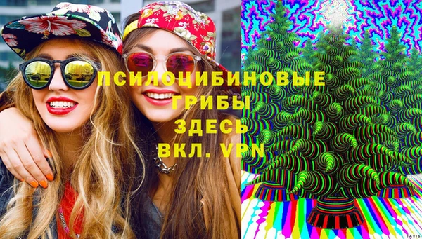 круглые Ветлуга