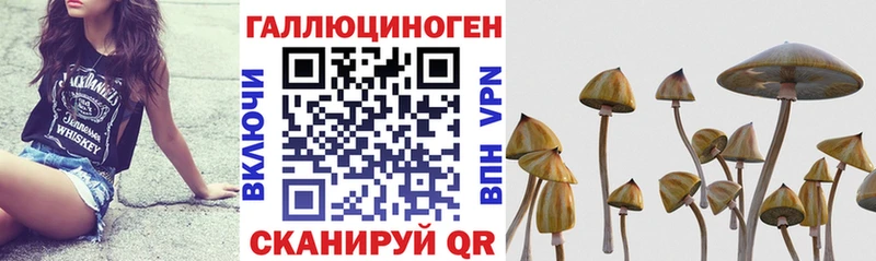 Псилоцибиновые грибы Cubensis  цена   Мамадыш 